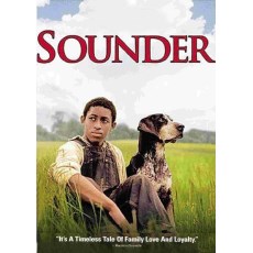 父子情深 Sounder 感人泪下的狗狗电影 DVD收藏版