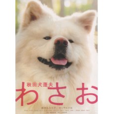秋田犬蓬夫 日本经典感人狗狗电影 DVD收藏版