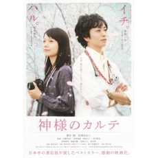 上帝的处方/神的诊疗簿(2011) 櫻井翔/宫崎葵 DVD收藏版