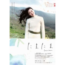 偶然 たまたま 苍井优主演日本爱情电影 DVD收藏版