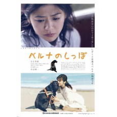 贝鲁娜的尾巴 日本又一部感人的导盲犬电影 DVD收藏版