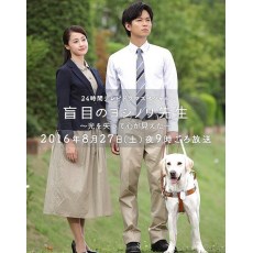 盲眼的淑则老师 日本感人泪下的电影 泽尻英龙华 DVD收藏版