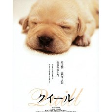 导盲犬小Q 日本超经典感人狗狗电影 中文字幕DVD收藏版