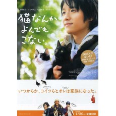 为什么猫都叫不来 2016年真人电影版 日本感人的猫咪 DVD收藏版