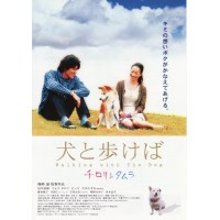 男人与流浪狗 日本经典治愈系狗狗温馨励志电影 DVD收藏版