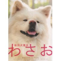 秋田犬蓬夫 日本经典感人狗狗电影 DVD收藏版