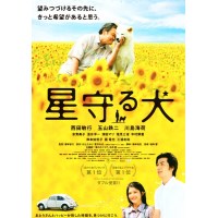星守之犬/守护星星的小狗 日本感人泪下的狗狗电影 DVD收藏版