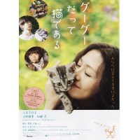 猫咪咕咕/咕咕是一只猫 日本经典可爱猫咪电影 DVD收藏版