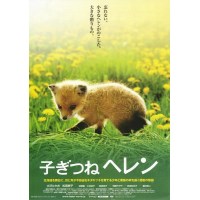 子狐物语/生命奇迹小狐狸 日本经典感人电影 DVD收藏版