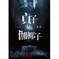 贞子vs伽椰子 日本恐怖片 DVD收藏版 白石晃士导演作品