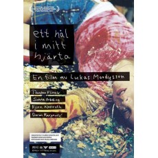 兽姓斗室/心洞 A Hole in My Heart 瑞典触目惊心的怪影片 DVD版