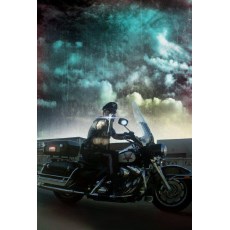 不死景观 Officer Downe (2016) 欧美B级动作CULT片 DVD收藏版