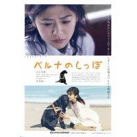 贝鲁娜的尾巴 日本又一部感人的导盲犬电影 DVD收藏版
