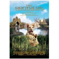 虎兄虎弟/两只老虎 法国经典感人电影 DVD收藏版