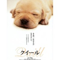 导盲犬小Q 日本超经典感人狗狗电影 中文字幕DVD收藏版